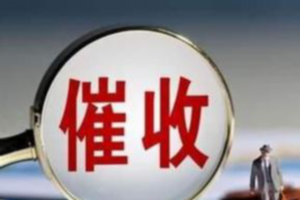 潜江讨债公司成功追讨回批发货款50万成功案例